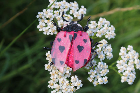 Broche scarabée "Ladybug"