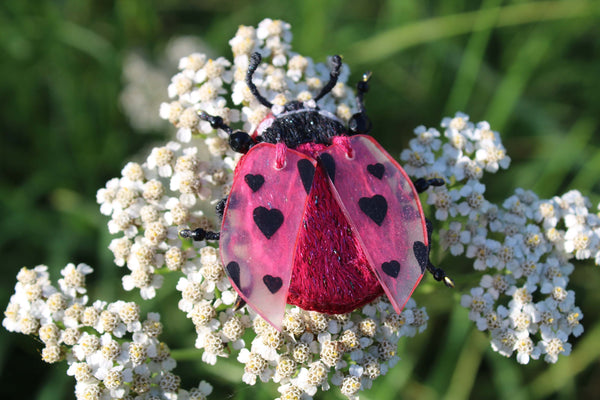 Broche scarabée "Ladybug"