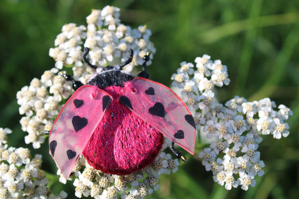 Broche scarabée "Ladybug"