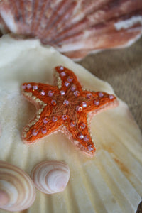 Broche " Super Starfish"