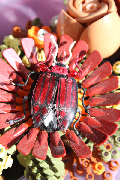 Broche scarabée " Scaragoth"