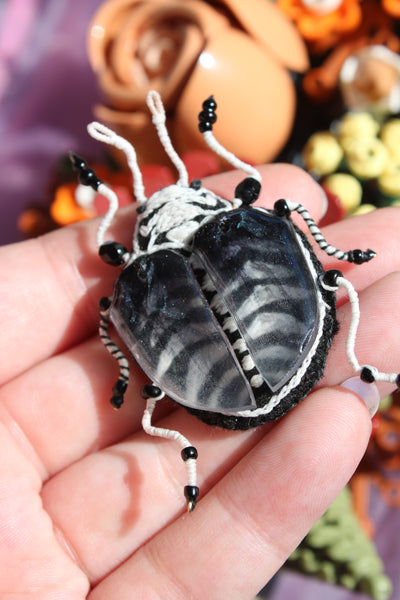 Broche scarabée "Skelton"