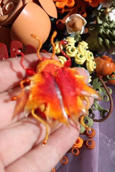 Scarabée " automn sunset"