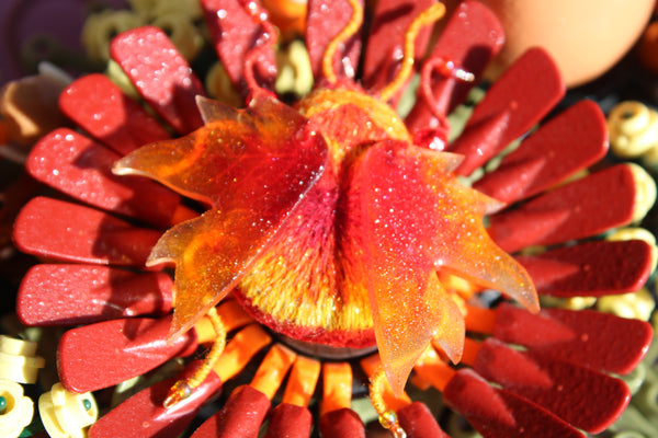 Scarabée " automn sunset"