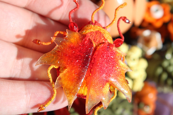 Scarabée " automn sunset"