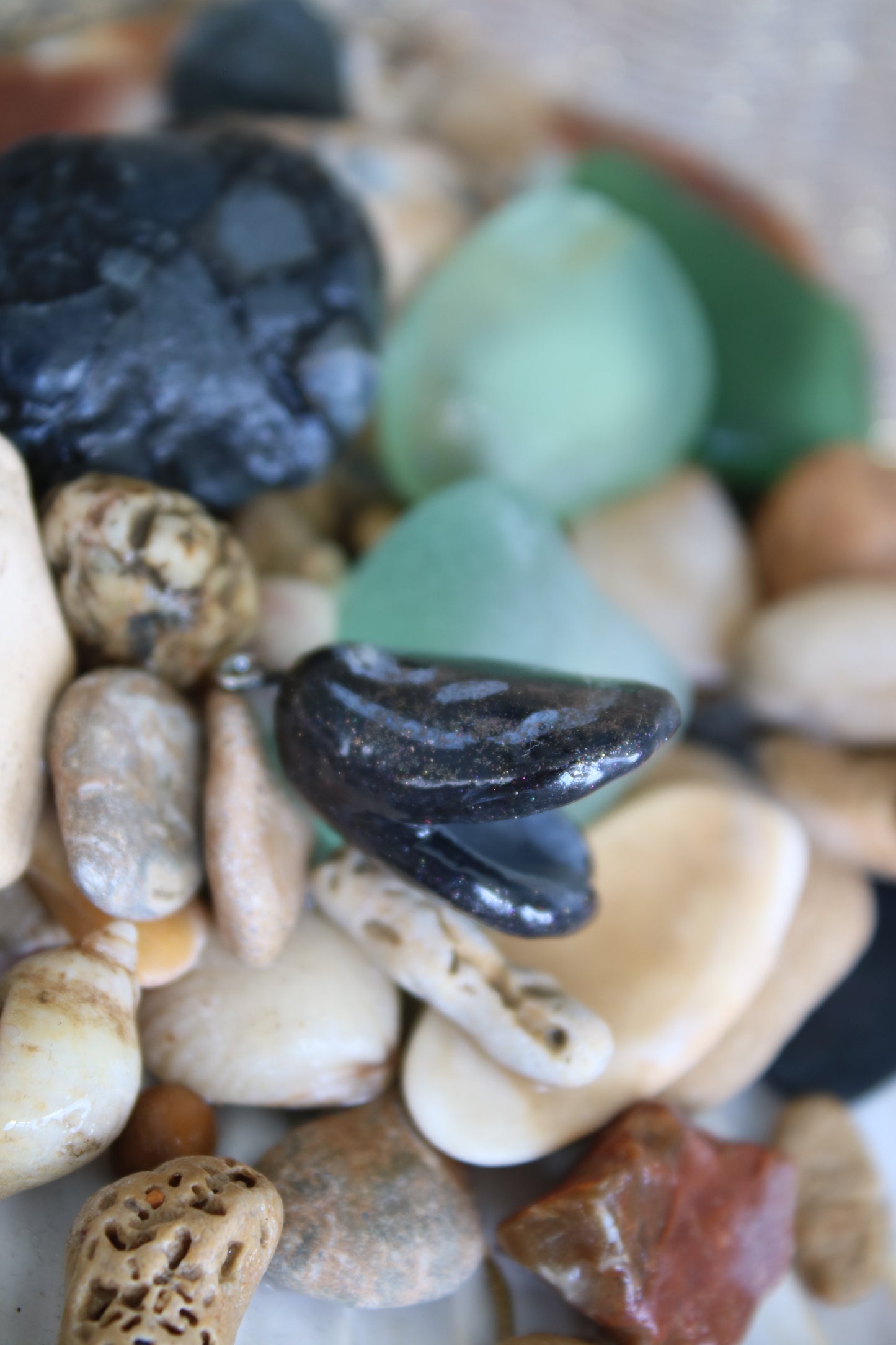 Les minis aquatiques