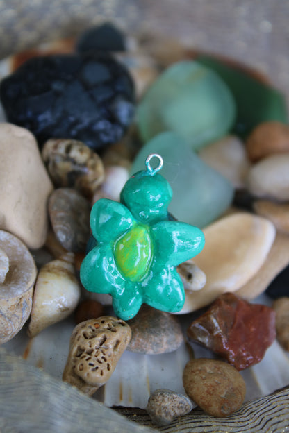 Les minis aquatiques
