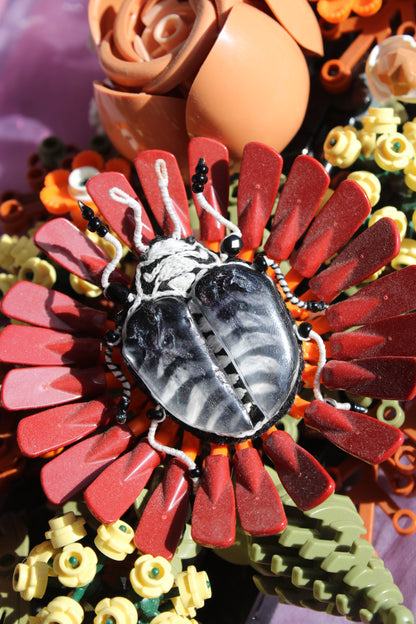 Broche scarabée " Scaraskull"